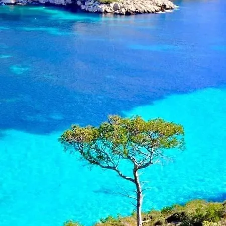 公寓 Mon Petit Paradis, Centre 90 M2, 200 M Mer, Terr Plein Sud, Clim Park Prive 卡西斯