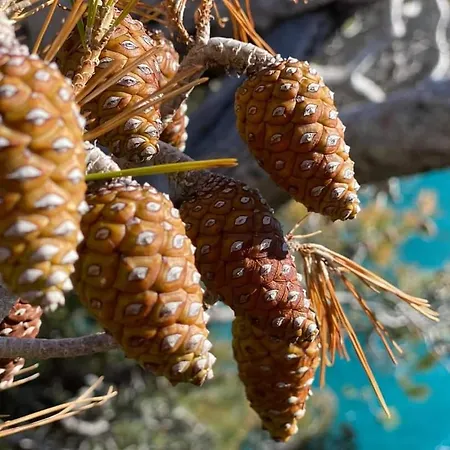 Mon Petit Paradis, Centre 90 M2, 200 M Mer, Terr Plein Sud, Clim Park Prive