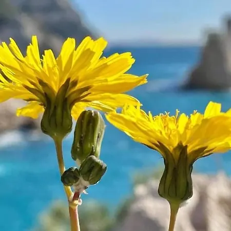 Mon Petit Paradis, Centre 90 M2, 200 M Mer, Terr Plein Sud, Clim Park Prive Cassis